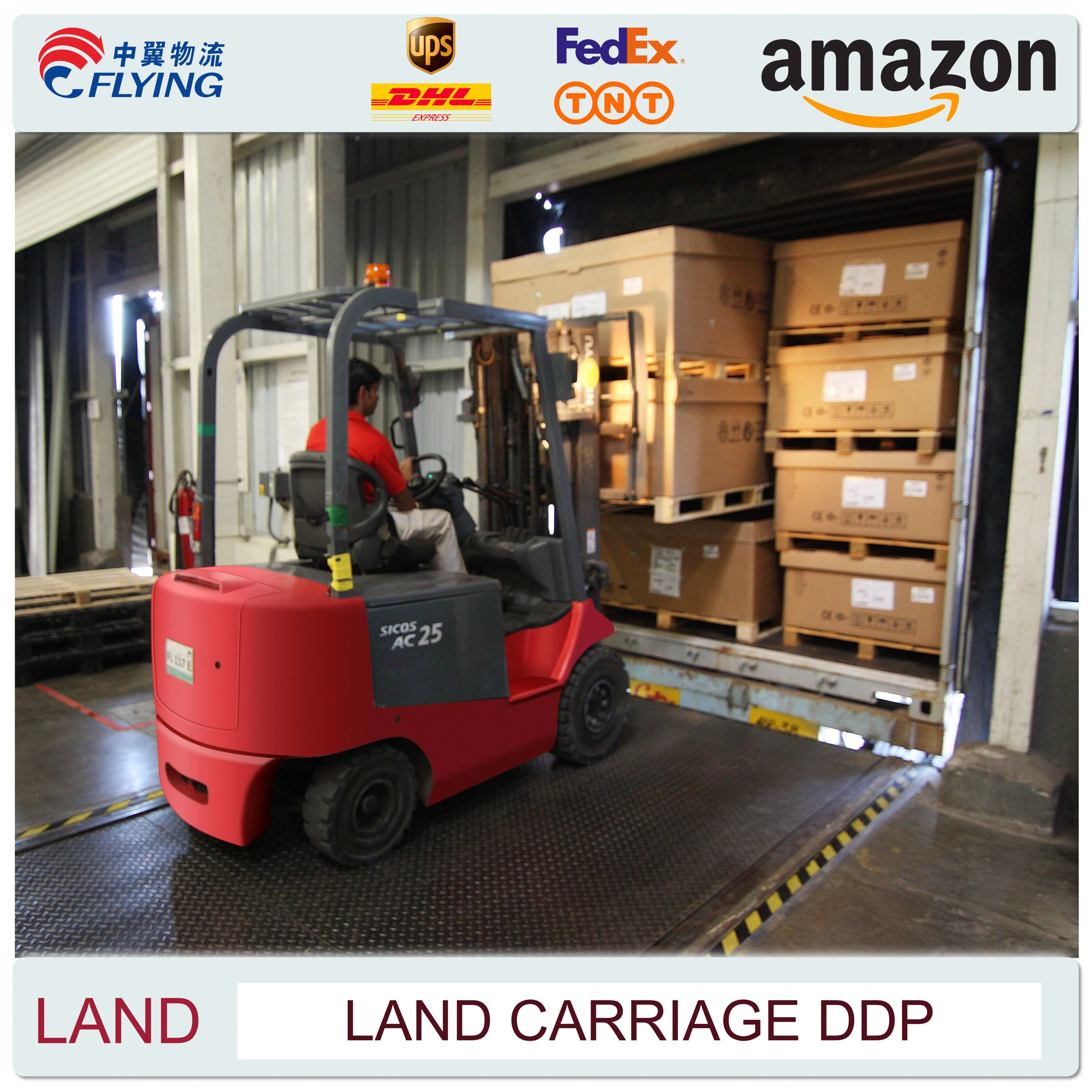 China Shenzhen Guangzhou Shanghai sea freight forwarder  shipping ddu ddp service