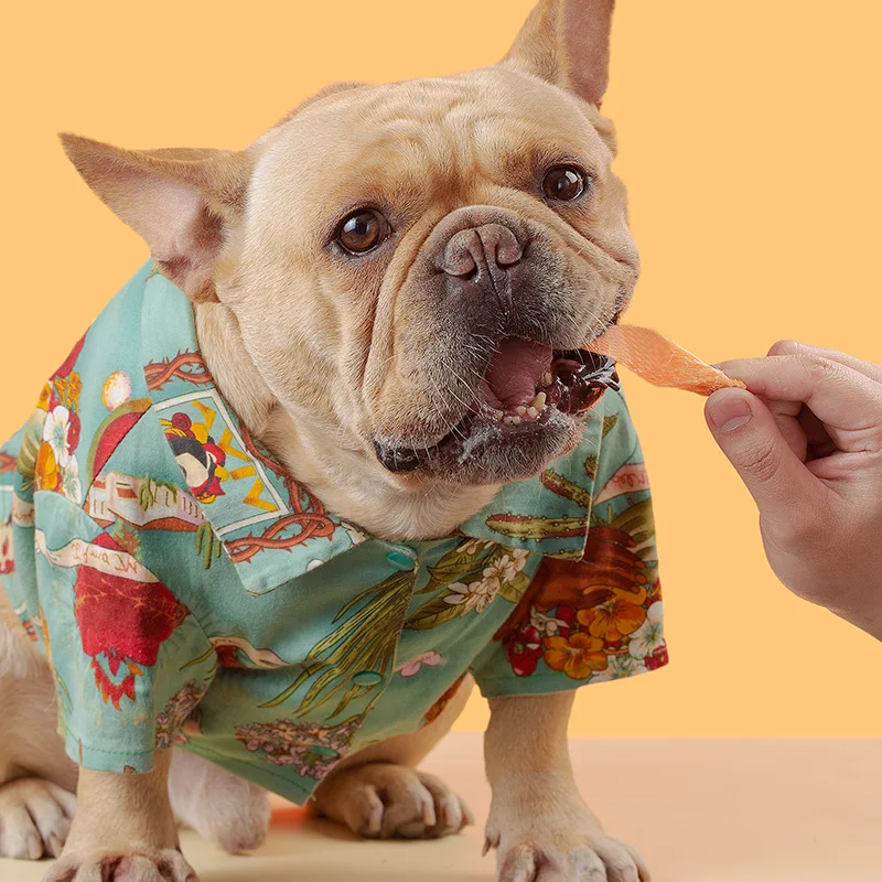 Pet snacks & dried chicken jerky highly nutritious dog and cat food/wholesale chicken nuggets and chicken strips