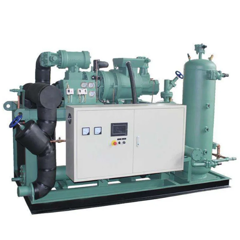 Custom Cold Room Project 400hp Semi Hermetic Screw Parallel Compressor Unit for Cold Room Refrigeration