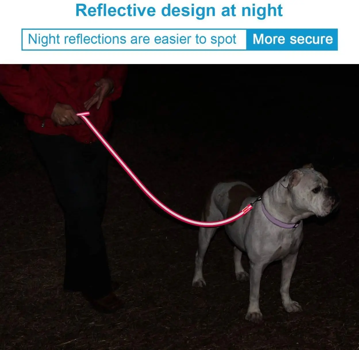 Custom Color Heavy-Duty Trainer Dog Rope Leash Soft Waterproof PVC Material Reflective Pattern Rivet Decoration Walking Pets