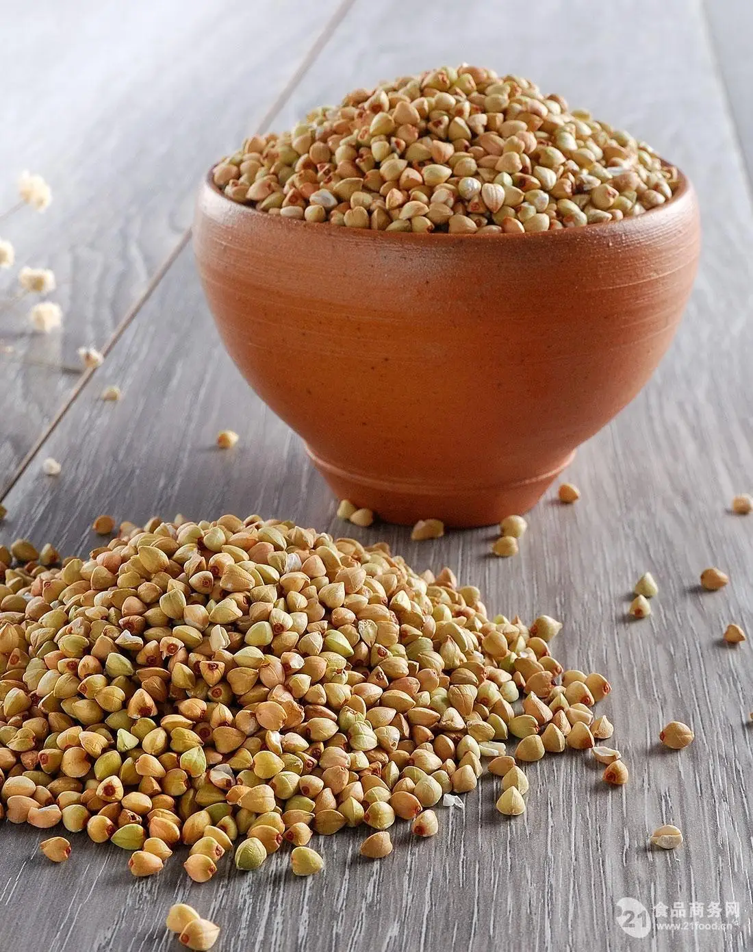 
100% Pure Buckwheat Extract 50% Flavone Protein Powder for Health 