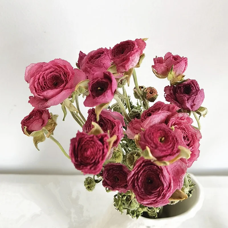 factory supply real natural flower dried peony flower for home decoration