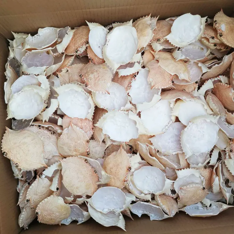 Лучшее качество, очищенная сушеная оболочка краба