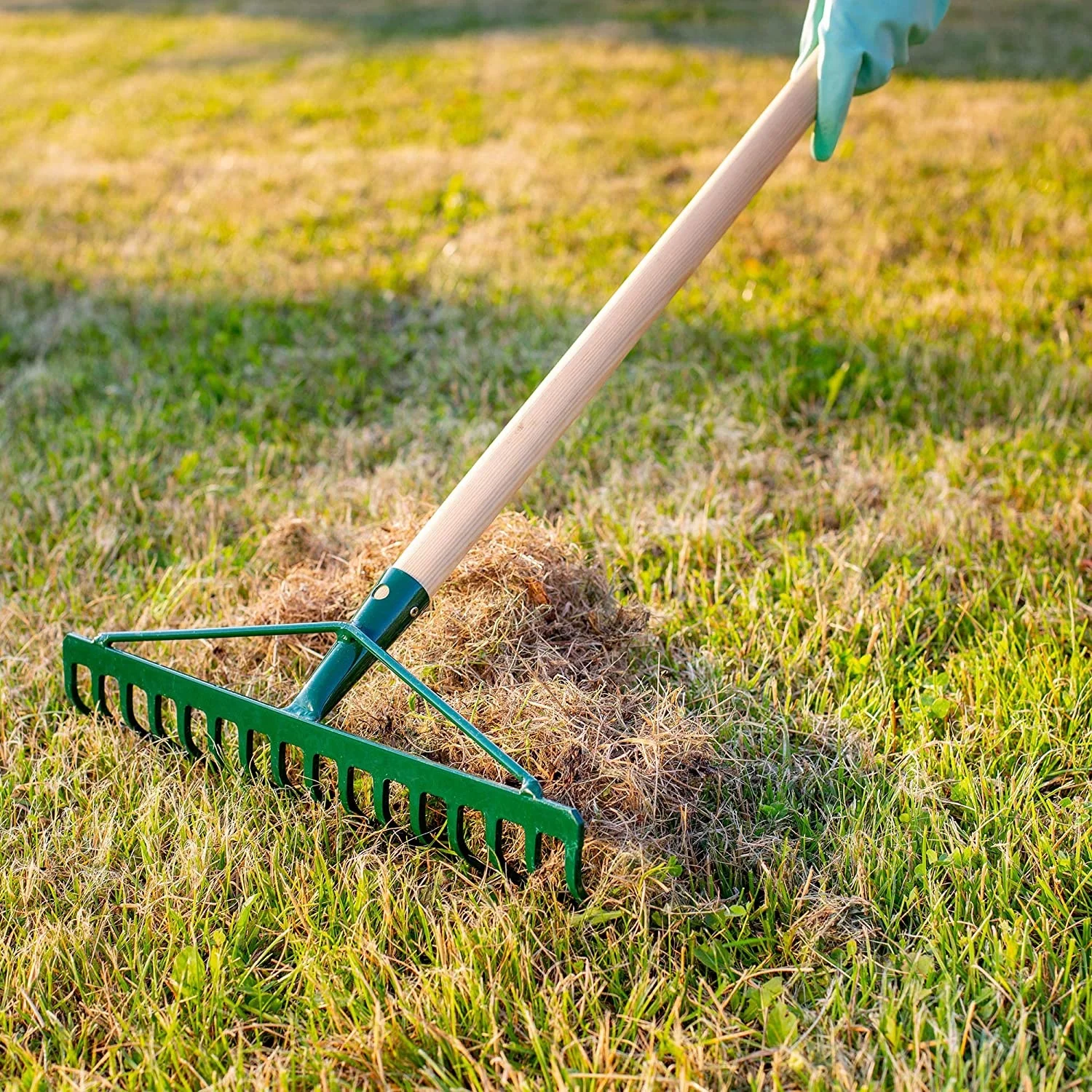 16T/18T Garden  Rake Lawn without handle