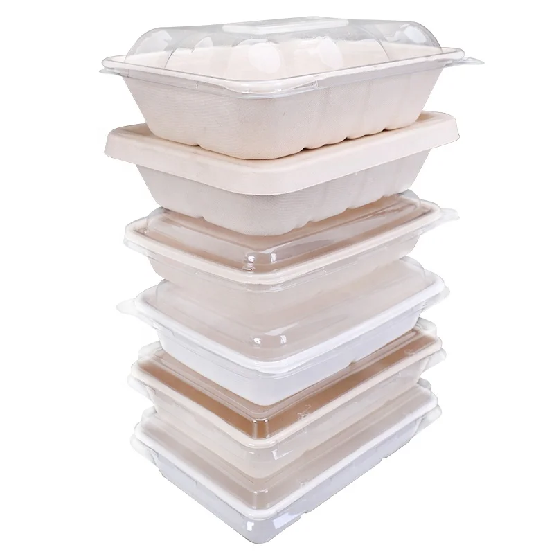 Sugar cane Bagasse Container With Lid Biodegradable Food Packaging Bagasse Packaging