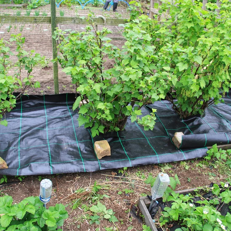 PP fabric virgin material with UV 3-5 years using life anti weed mat in garden root barrier