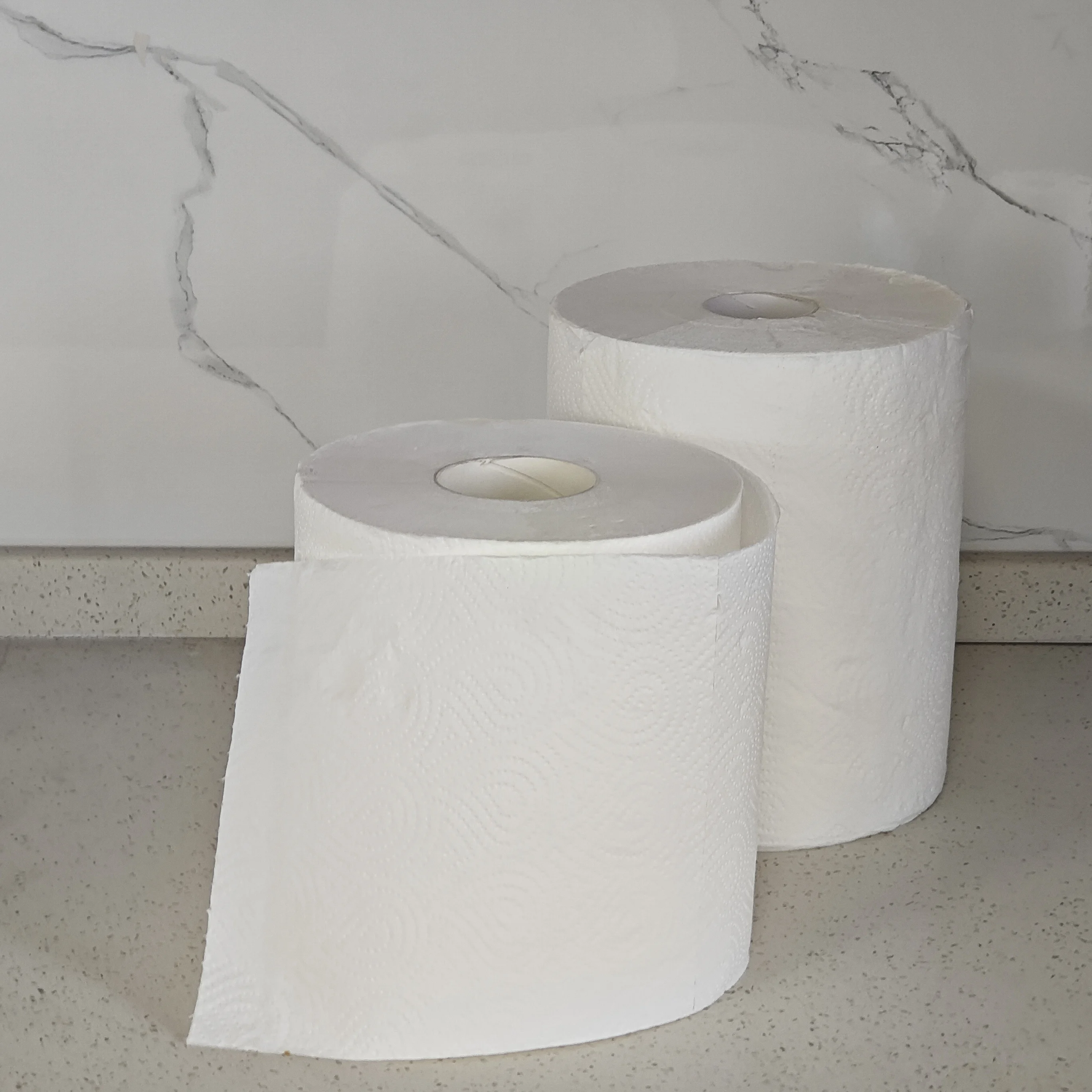 OEM Customization good quality ECO Friendly wood pulp kitchen paper tissue towel Soft White disposable 2Ply paper towel roll