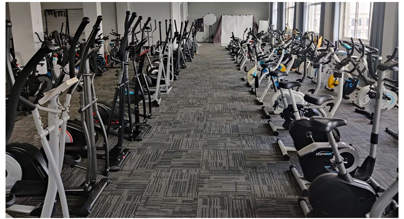 Manufacturers Wholesale Spinning Bike Home Magnetic Control Fitness Exercise Small Indoor Fat Burning Exercise Bike