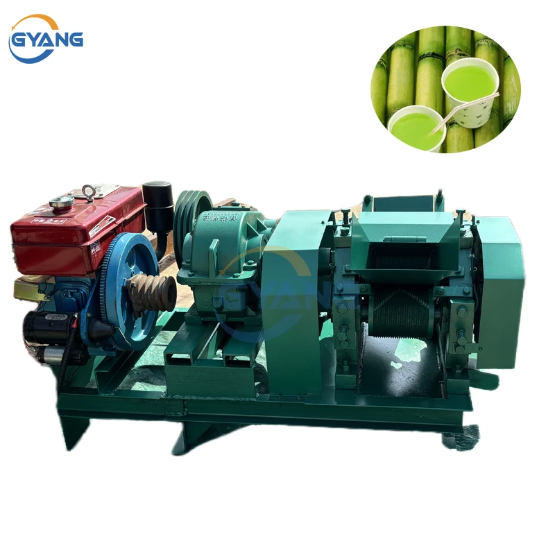 Commercial Stainless Steel Sugarcane Juicer Sugar Cane Machine Cane-juice Squeezer Cane Crusher