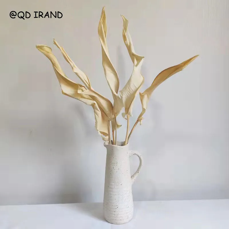 Dried flower home decoration  Nordic ins style wholesale
