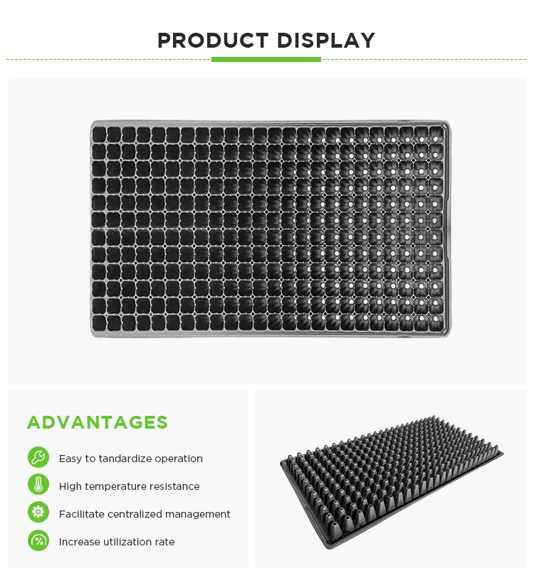 Agriculture greenhouse seed grow planting Tray 288 cell seed Germination Tray