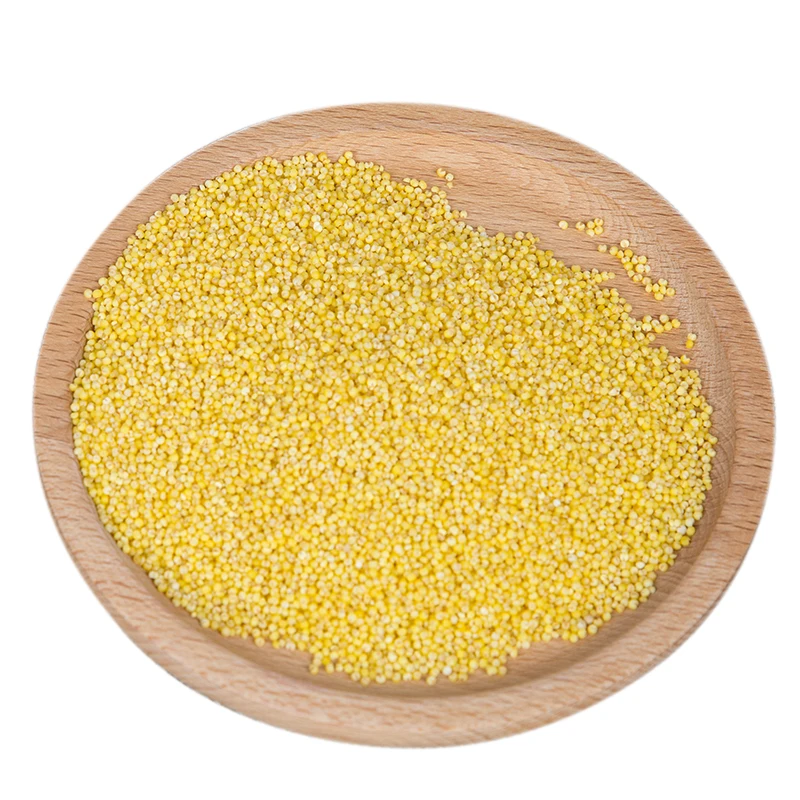 Organic high quality yellow millet grains cereal grain products from China manufacturer 1 kilograms packaging