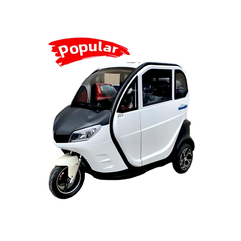 Electric Tricycle Bicycle Fully Enclosed 2 Seats 3 Wheel Strong Power 60V 1500W Electric Adult Tricycle