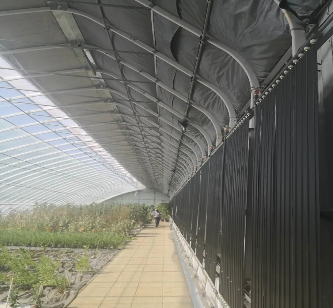 Winter Heat Positive Greenhouse Solar Greenhouse Covered With Quilts For Vegetables Planting