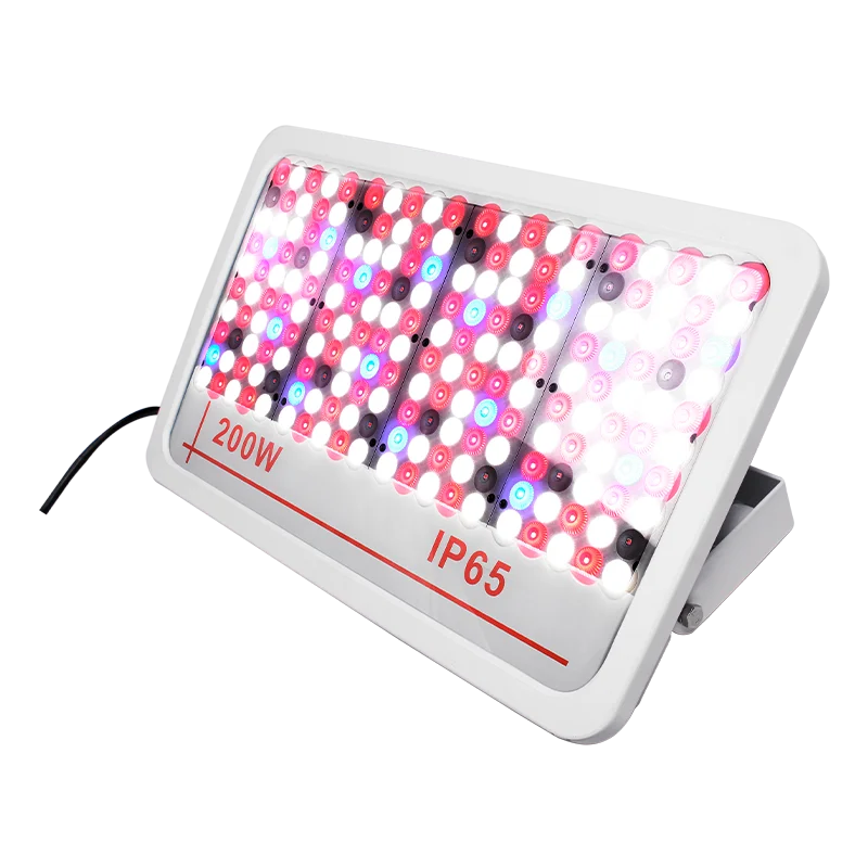 High Quality Free Sample Manufacturer Horticultural Lighting Dimmable LED Flood Light Lamp LED Bulb Filament Bulb