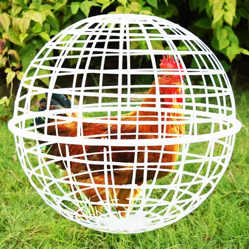Walking Chicken Cage Plastic Spherical Pigeon Cage Round Rabbit  Duck Cages Can Roll and Walk To Feed Free Range