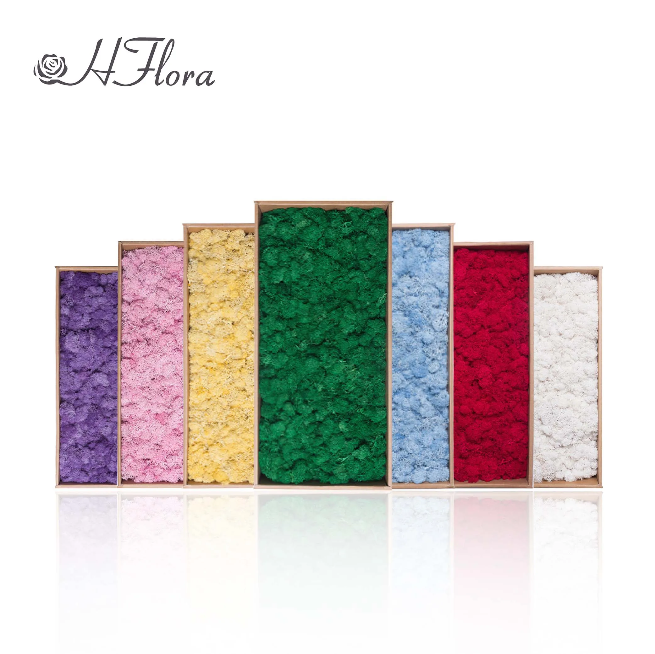 Hflora Preserved Moss Home Wedding Wall Decoration Reindeer Moss Stabil Natural Stabilized White Hair Moss Wall Panel Decoration