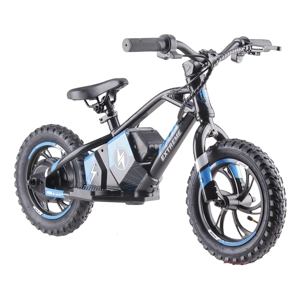 Best seller Electric Balance Motorcycles Off Road mini Bike for Kids Around the World
