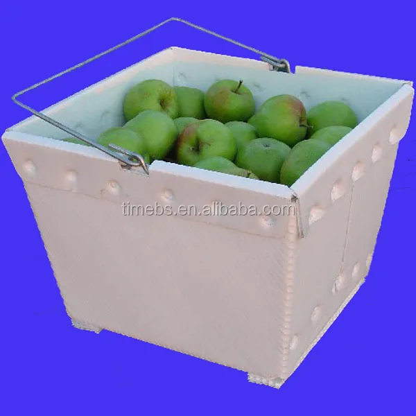 polypropylene Cartonplast fruit box for cabbage