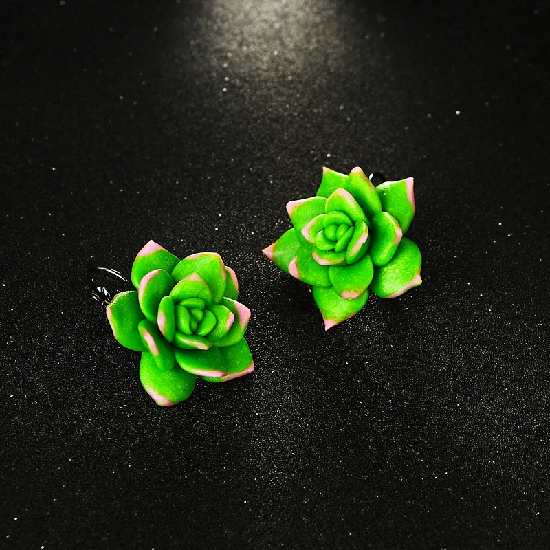 
Wholesale and retail clay earring green succulent real succulent flower earring 