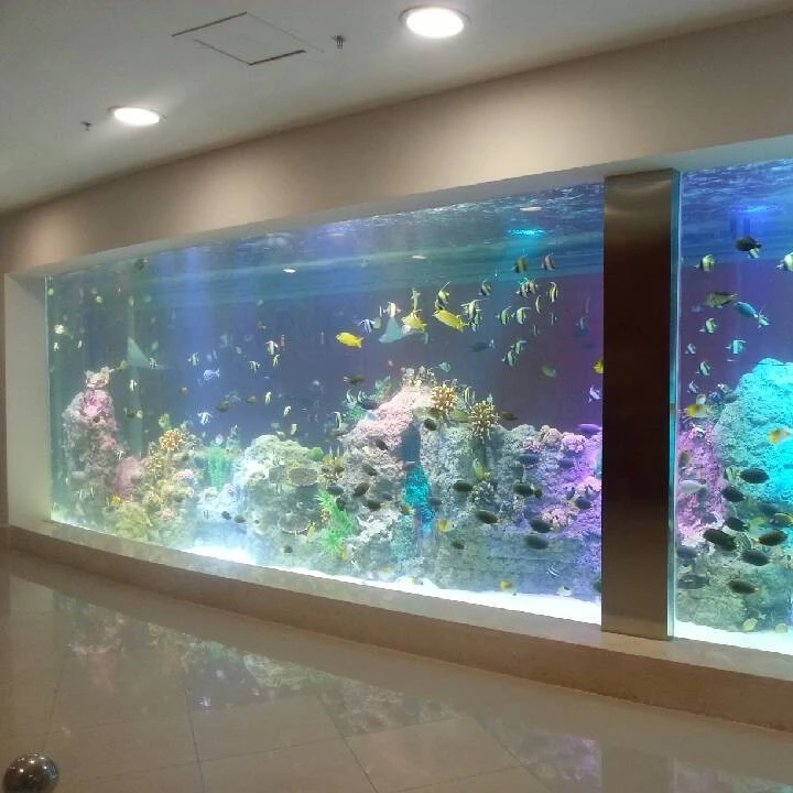 big rectangle acrylic aquarium fish tank