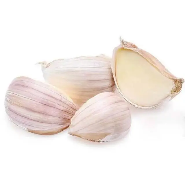 2021 Hot New Product Chinese Supplier Fresh Garlic High-quality Purple Garlic Specification 5.5 cm 5 kg per bag