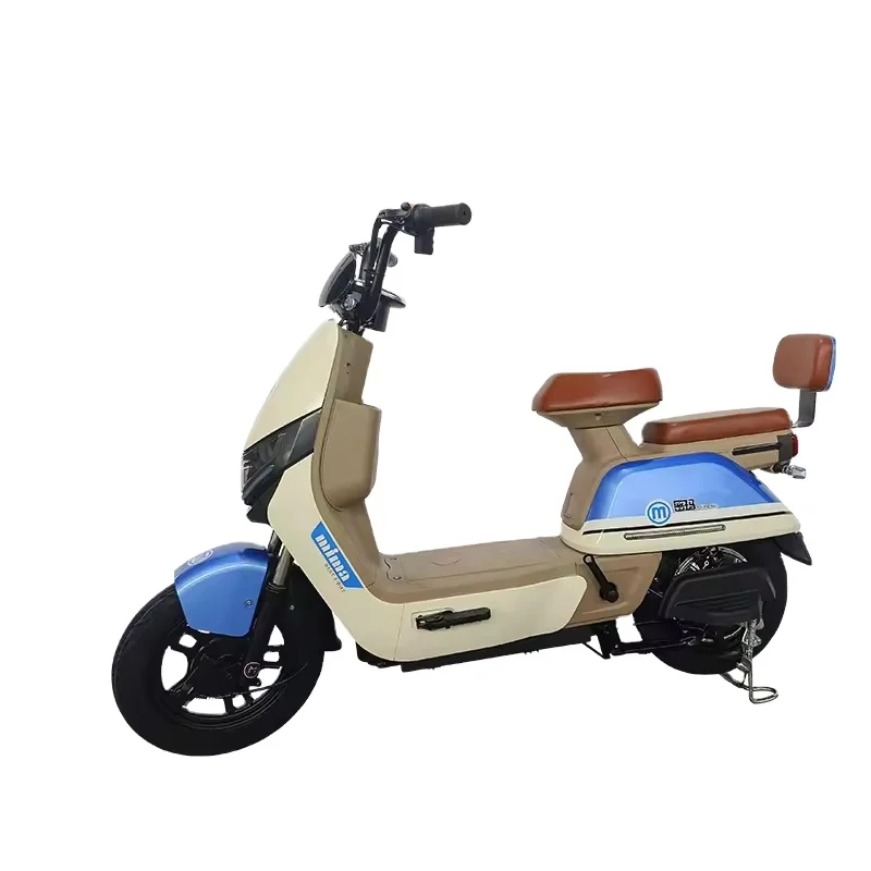 Wholesale electric bike lithium lead acid battery electric bicycle with basket City Ebike Fat tire two seats electric bike