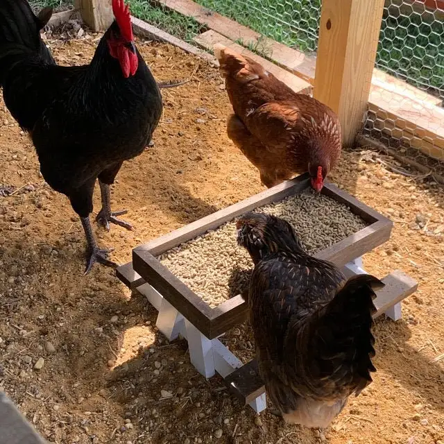 2024 New Chicken Coop Accessories Chicken Feeder Pet Feeder Mini Picnic Table Chicken Picnic Table for Outside Poultry