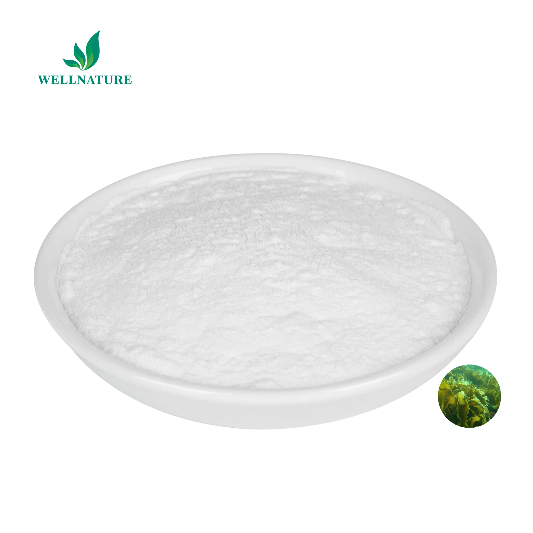 Fucoidan Polysaccharide Fucoidan Extract Powder Fucoidan