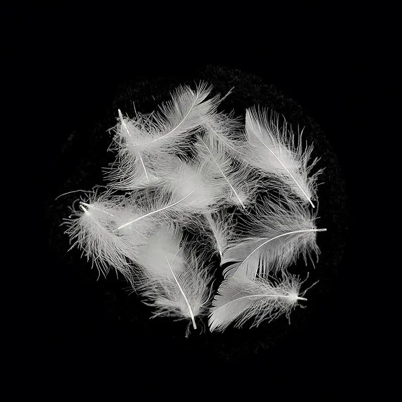 Goose Feather With Good Quality Soft Washed For Pillow Cushion
