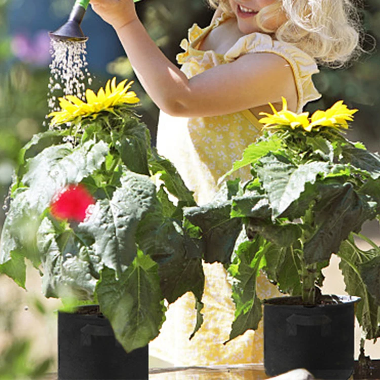 Customized Size 1 3 5 7 10 20 30 40 Gallon Vegetable Potato Garden Non Woven Fabrics Pots Plant Grow Bags