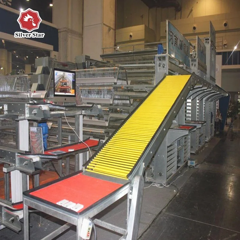 Poultry layer chicken fully automatic egg chicken cages.jpg