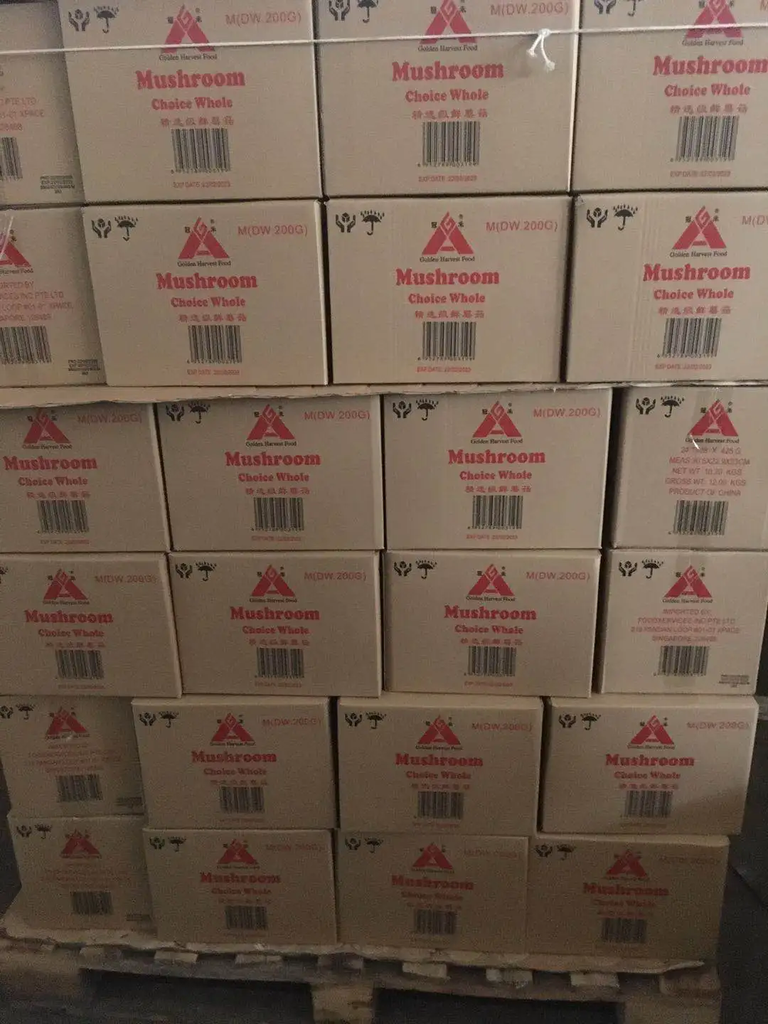 
Canned champignon mushroom whole in brine 425G history export to Southeast Asia 