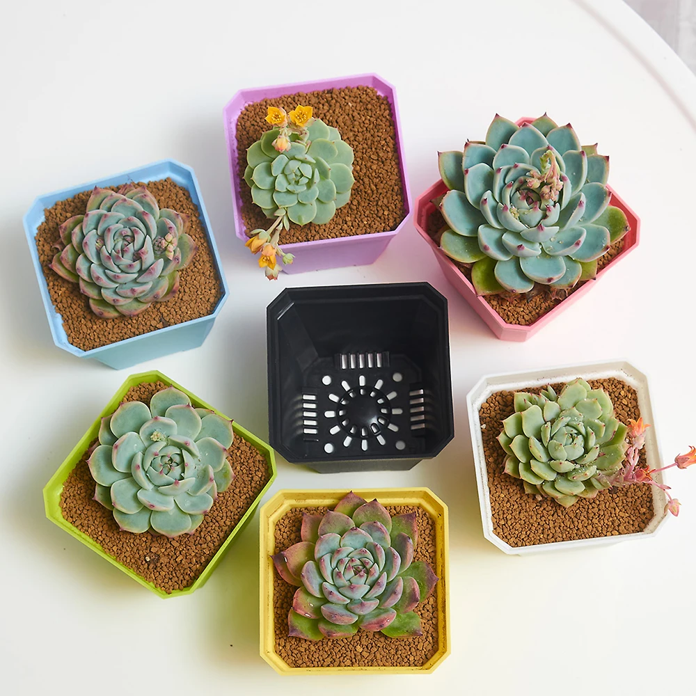 Square Colourful Eco-Friendly Growing Plastic Flower Planting Planter Pots