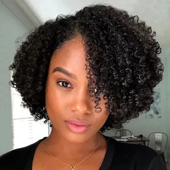Cheap Afro Kinky Curly 4X4 Lace Closure Front Human Hair Wigs Natural Black Color Transparent Lace Frontal Wigs With Baby Hair