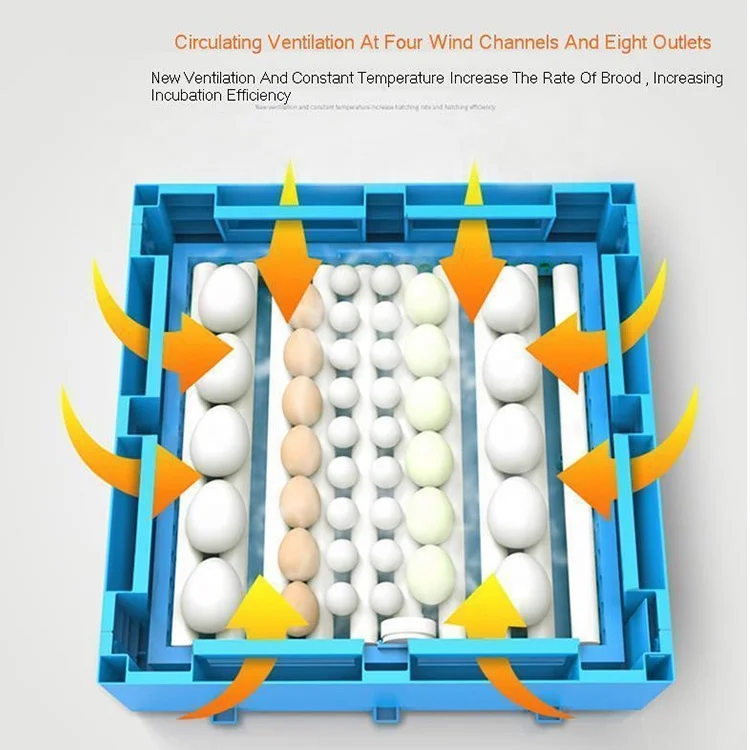 Mini Dual power automatic egg turning 64 pcs incubator with low price for home use