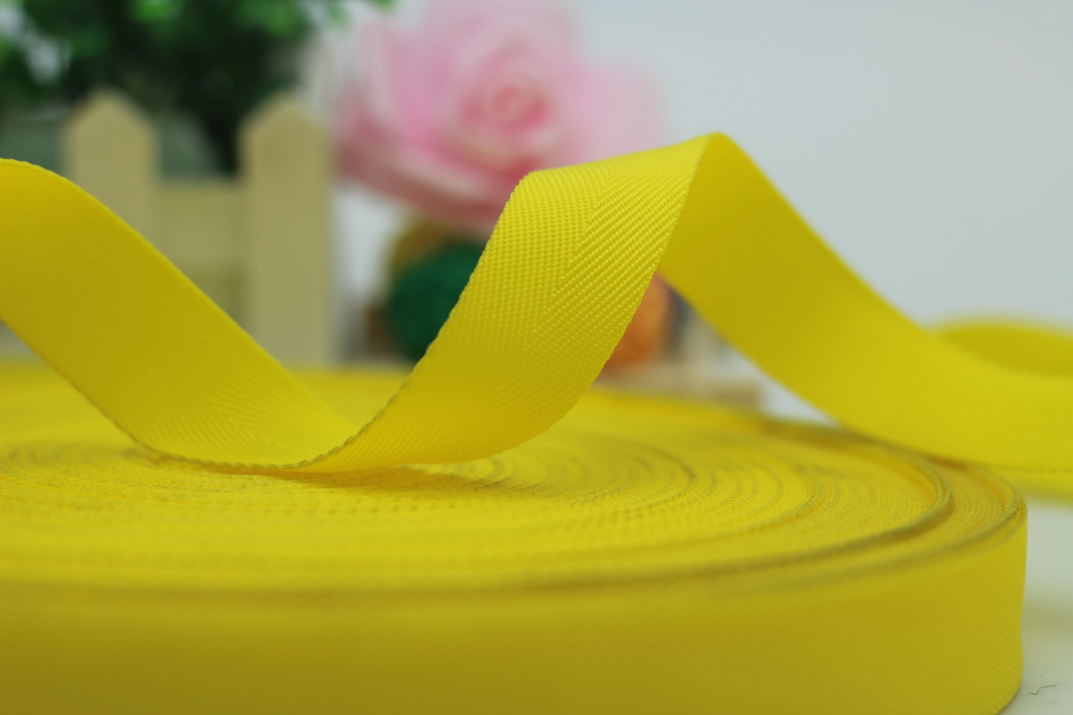 China Manufacturer supply twill weave 23mm polypropylene Webbing schoolbag Covered edge straps