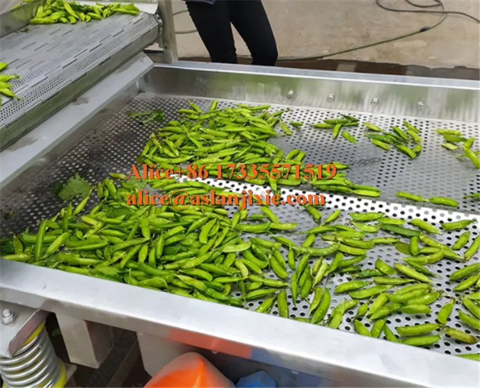 Edamame pea carob air bubble ozone washing machine/high pressure water sprayer vegetable cleaner