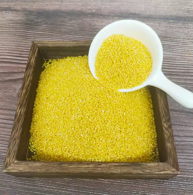 Wholesale Non GMO High Quality Yellow Millet Grain Millet For Porridge