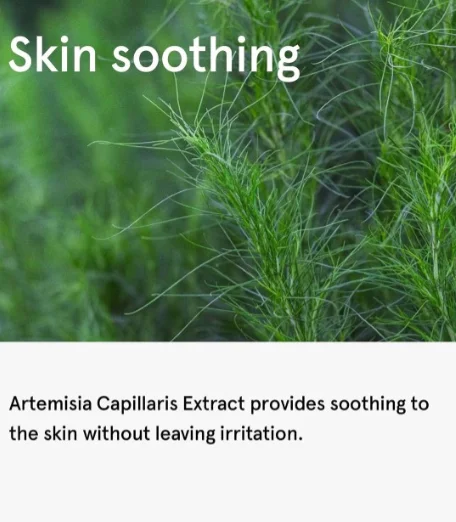 Оптовая продажа натуральный экстракт Artemisia Capillaris 10:1 20:1 30:1 порошок экстракта листьев эстрагона