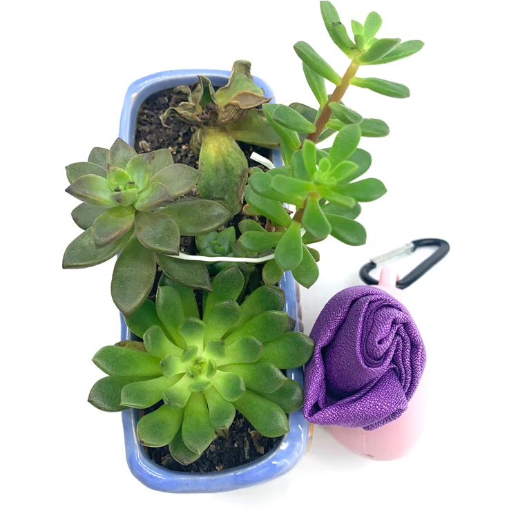 Sports Microfiber Ultra Absorbent, Compact and Fast Drying Towel with Bag