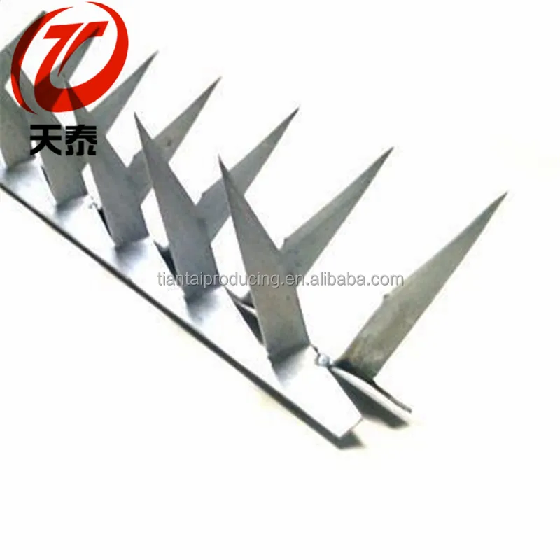 
Hot dipped galvanized anti climb wall spikes anti theft razor security spikes 