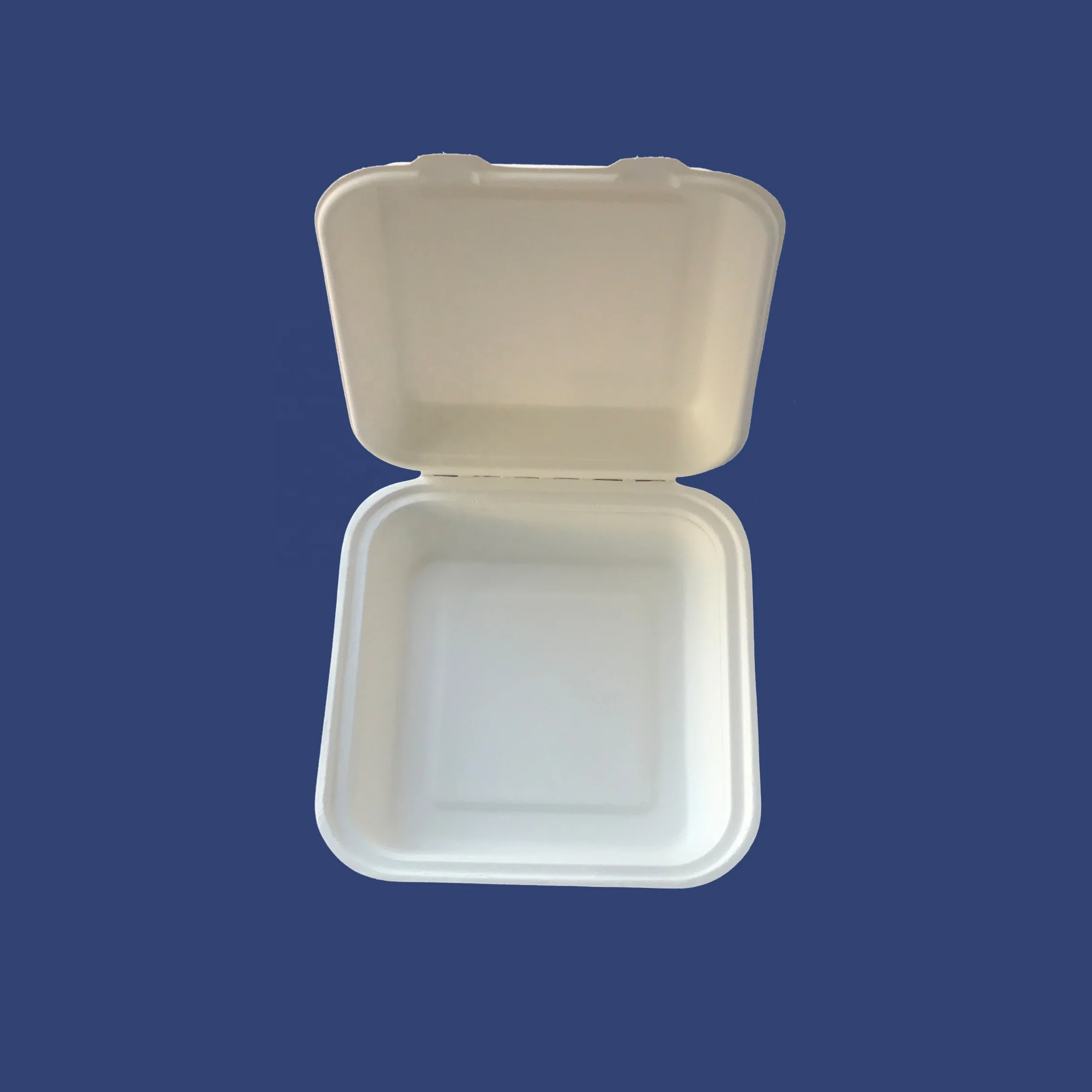 wholesale compostable sugarcane takeaway lunch box bagasse disposable biodegradable clamshell food container
