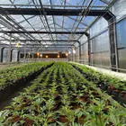 Large Medical Plant Growth Lamp Light Deprivation Equipment for Agriculture for Hemp Vegetables Cultivation