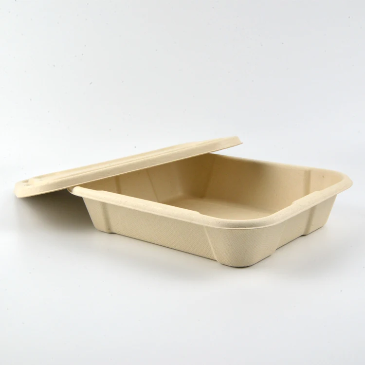 Factory Cheap Price Disposable Biodegradable Fruit Tray Bagasse Pulp Food Container Paper Food Container Tray
