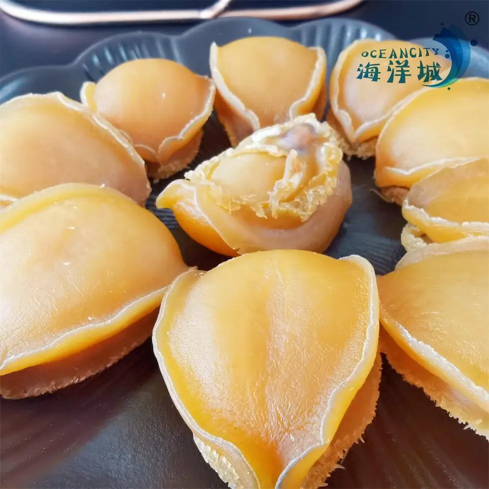 Dry Abalone 45g Big Size Wholesaler No Shell Boiled Dried Abalone