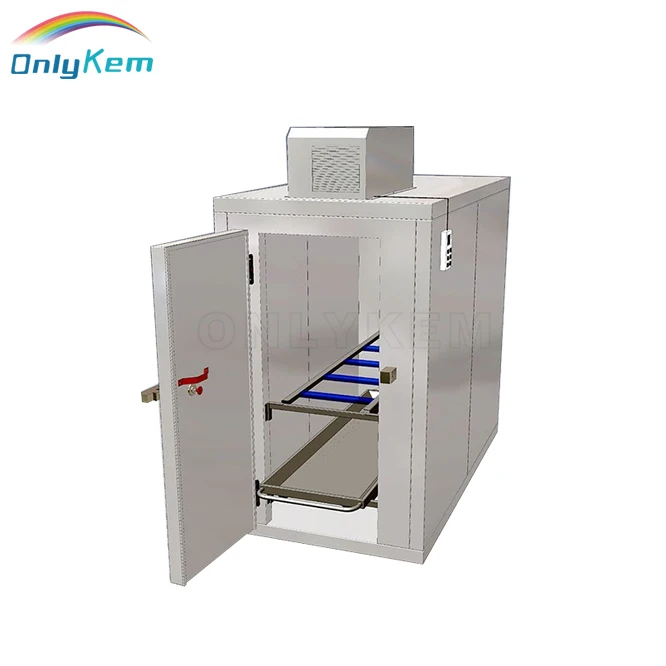 Замороженная холодильная камера для мяса и рыбы в гане