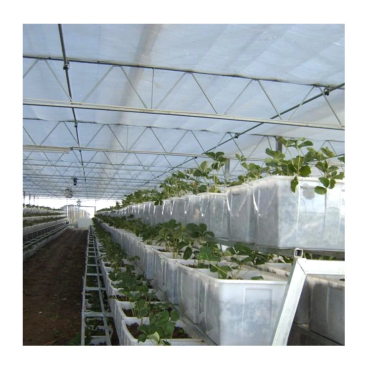 New Design Clear Polyethylene Film Multi-span Greenhouse For Vegetable