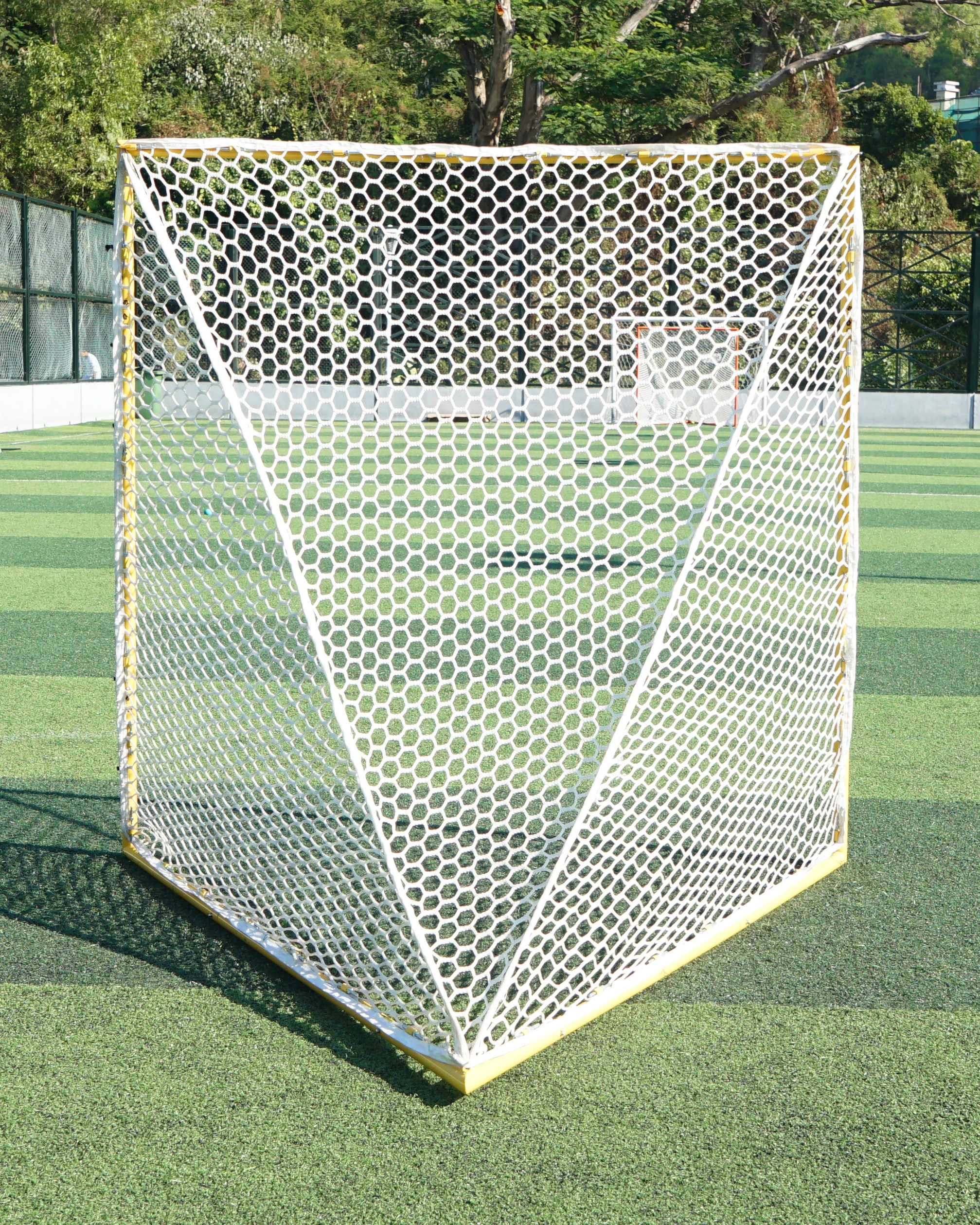 Wholesale High quality Portable lightweight easily installing and carrying gate training game lacrosse Goal