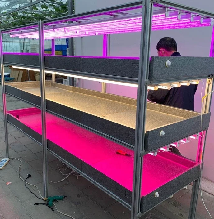 Vertical Hydroponics Container Vertical Farming Systems Commercial Greenhouses